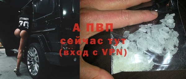 a pvp Инта