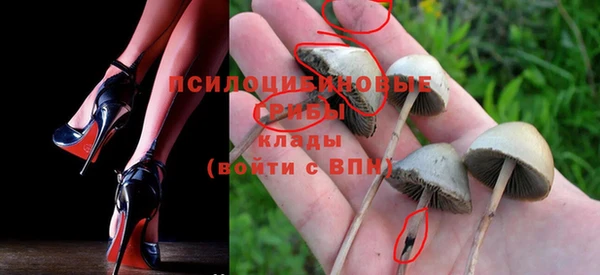 MESCALINE Инсар