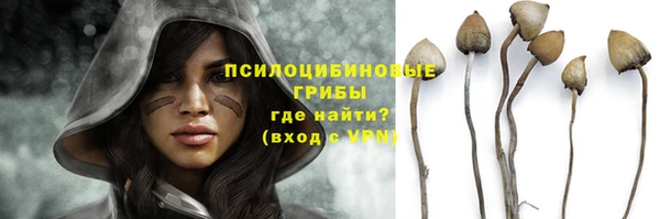 a pvp Инта
