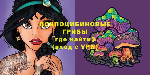 a pvp Инта