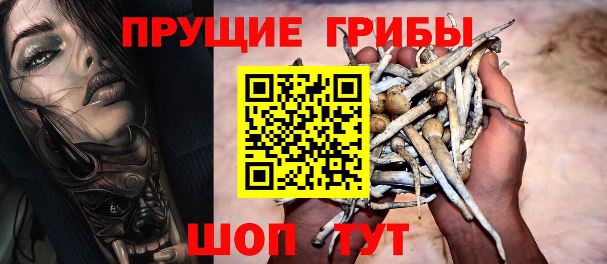 Псилоцибиновые грибы мицелий  Вход с VPN  Орск  Галлюциногенные грибы прущие грибы 